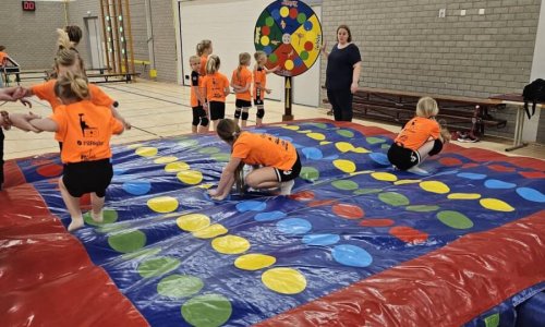 Afbeelding Levend Twister - 1 Afbeelding Levend Twister - 1